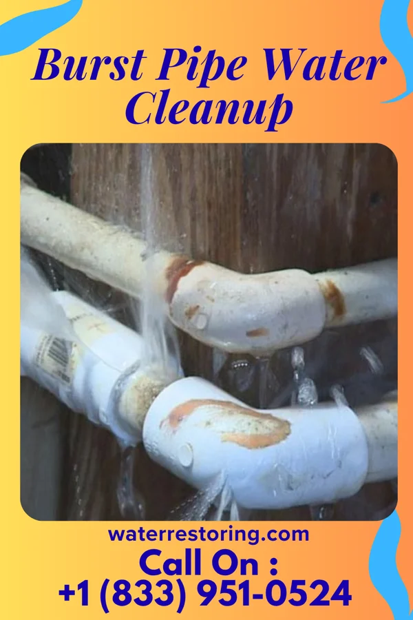 Burst Pipe Water Cleanup in Amite City, LA